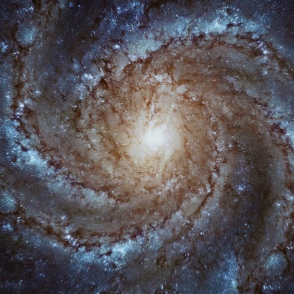 Meet your Posher, Luke - Picture 1 of 1